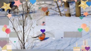 Вселенная Божаны... Снегири!