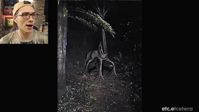 🌲🌲🌲🌲🌲🌲🌲🌲❓❓❓❓❓❓❓❓❓❓❗❗❗❗❗❗❗