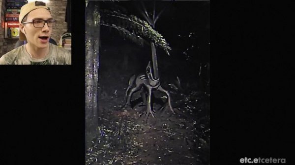 🌲🌲🌲🌲🌲🌲🌲🌲❓❓❓❓❓❓❓❓❓❓❗❗❗❗❗❗❗