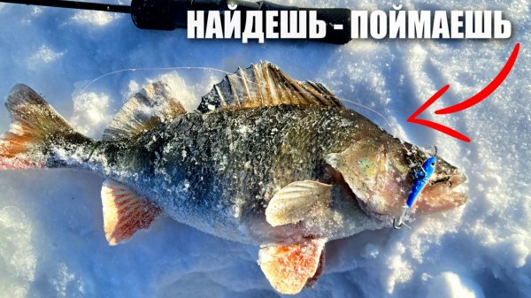 РЫБАЛКА НА ОКУНЯ В ГЛУХОЗИМЬЕ. Ловля окуня на балансир. Зимняя рыбалка 2026.