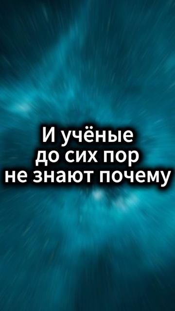 Космос скрывает больше, чем кажется 🌌 #космос #фактыкосмоса #вселенная #интересныефакты #наука смотреть онлайн