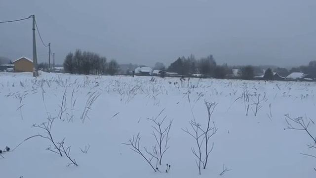 50:32:0030209:1475 смотреть онлайн