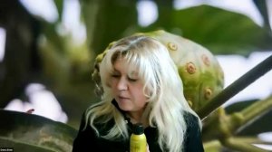 Жить без фоновой тревоги. Ваша эндоканнабиноидная система знает как. Мы просто даем ей топливо.