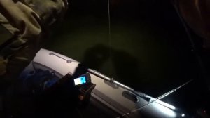 РЫБАЛКА УДАЛАСЬ ! ОГРОМНЫЕ САЗАНЫ ДИНОЗАВРЫ!!!!