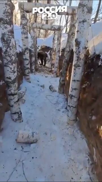 Вот в каких суровых условиях бойцы обустраивают свои позиции.mp4 смотреть онлайн