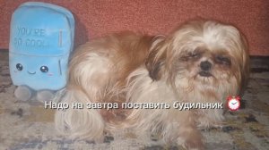Холодильник🐶🤪