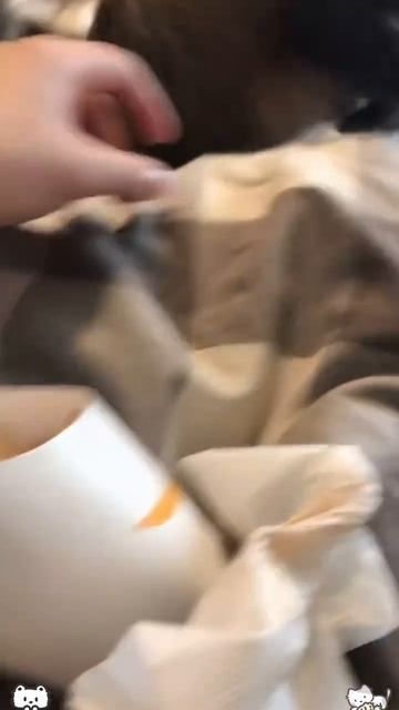 День безумного желудка отмечается сегодня смотреть онлайн