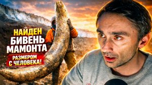 Найден уникальный бивень мамонта размером с человека