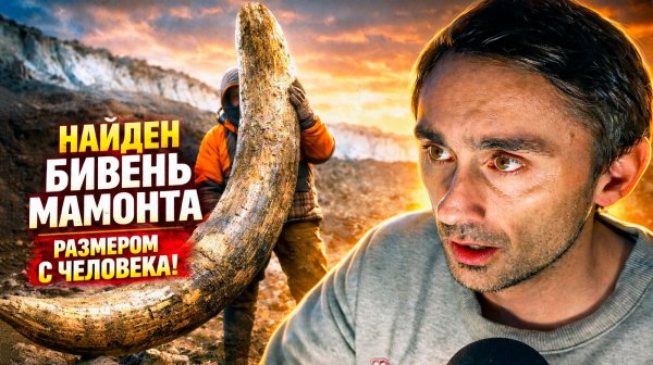 Найден уникальный бивень мамонта размером с человека