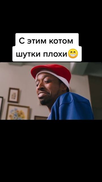 Кот ошибок не прощает