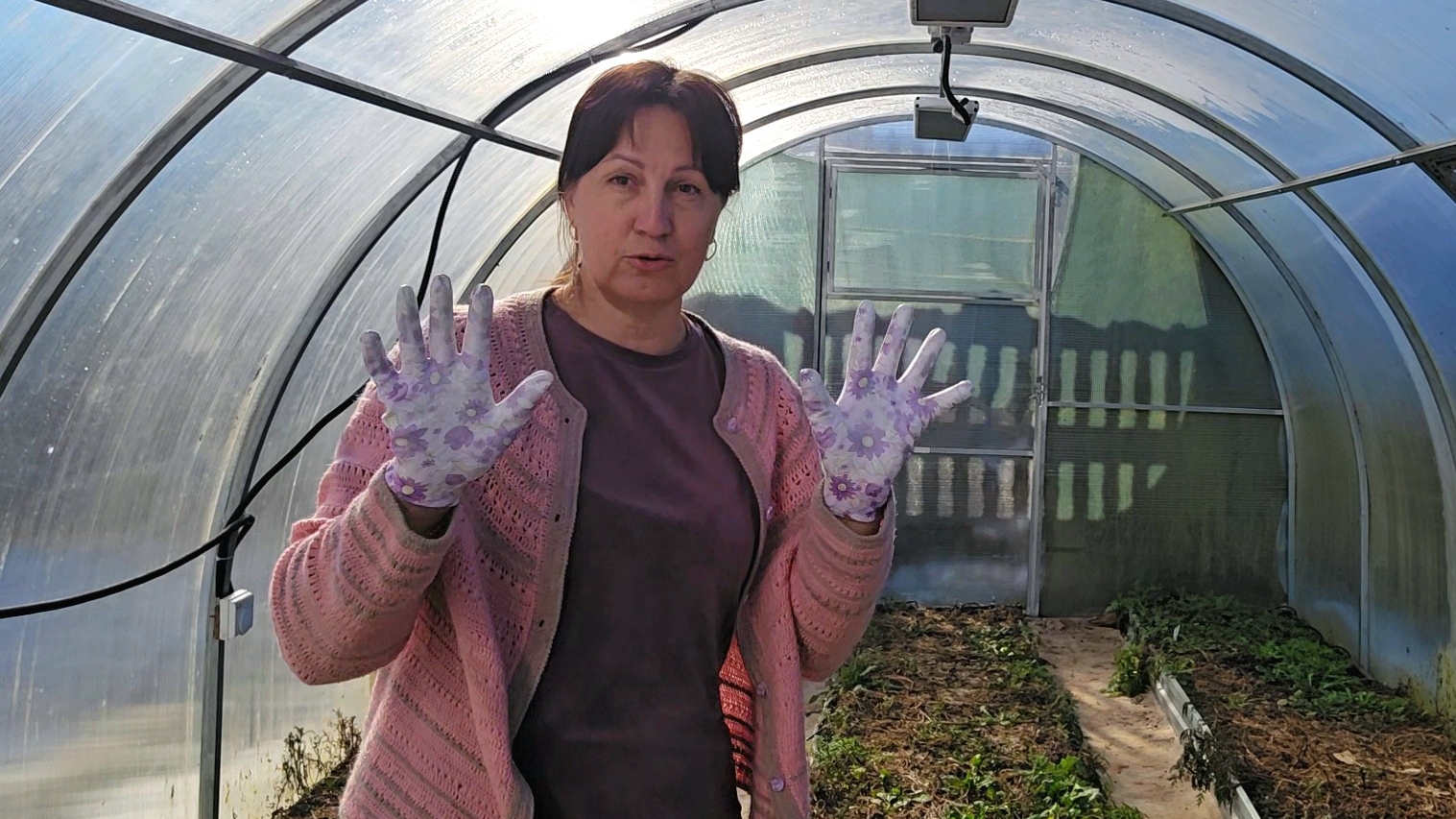 ✨️Время пришло!✨️Айда в теплицу!✨ смотреть онлайн