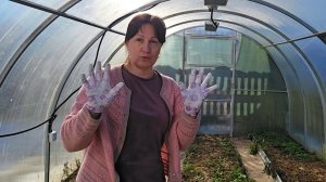 ✨️Время пришло!✨️Айда в теплицу!✨