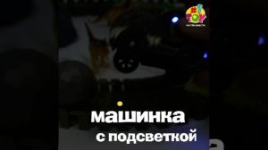 Т20861 Динопарк