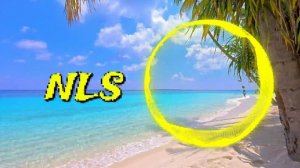 NIKISTAR HØBBIES - What I Need You For | Organic House [2026]