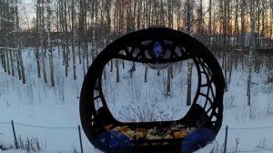 Птички улетели спать.