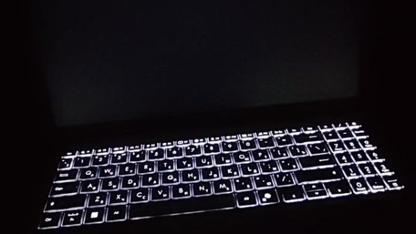 video_2026-02-12_19-41-19