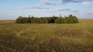 Памятник природы «Маячные осины»