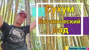 Поразились красотой Сухумского ботанического сада