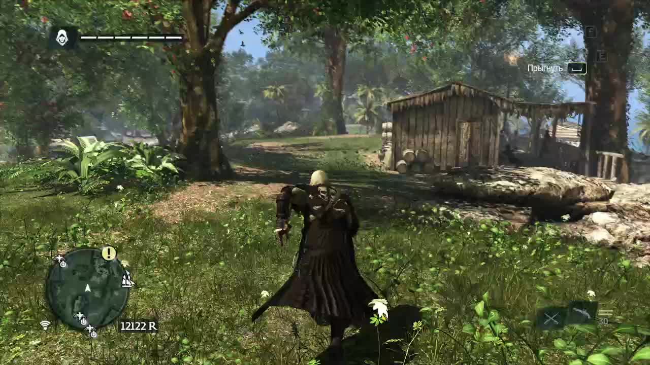Assassin's creed IV ( часть 4)