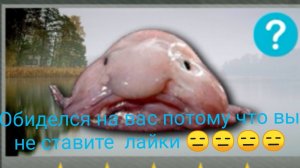 Как поймать рыбу каплю Фарм рыбы капли 🎣🐡🐡🐡