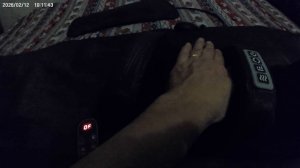 Вот такой друг появился в нашей семье.