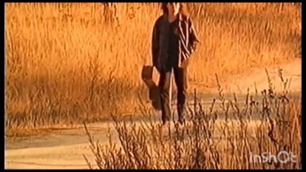 Чиж & Со - Полонез