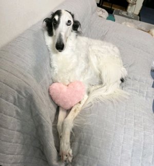 я меняю семью и аватарку