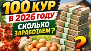 100🐔 кур = 160 000 ₽ в год? Честный расчёт на 2026 год