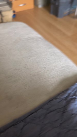 играю тв танки