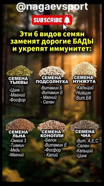 #александрнагаев#семенальна #семеначиа #семенатыквы