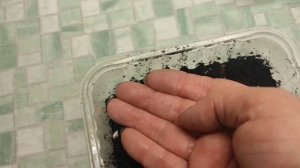 #карусельмоейжизни Посадочный день. Сажаю болгарский перец и цветы.