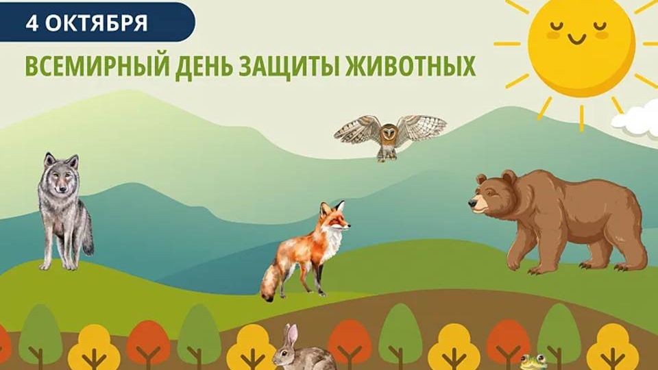 Мы - друзья природы смотреть онлайн