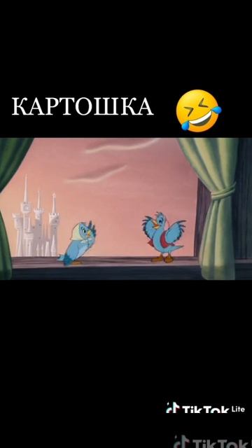 1000126526.mp4 смотреть онлайн