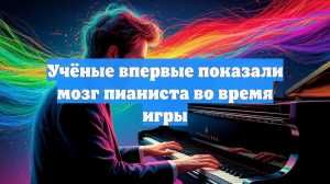Учёные впервые показали мозг пианиста во время игры