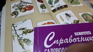 2223.  Тысяча "Почему?" при выращивании рассады.