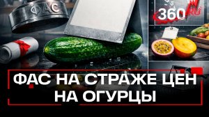 Депутаты попросили ФАС разобраться с ростом цен на огурцы