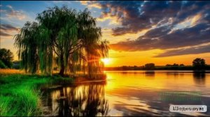 А НАМ ВЕДЬ ТОЛЬКО 60...ПРЕМЬЕРА КЛИПА ФЕВРАЛЬ -26