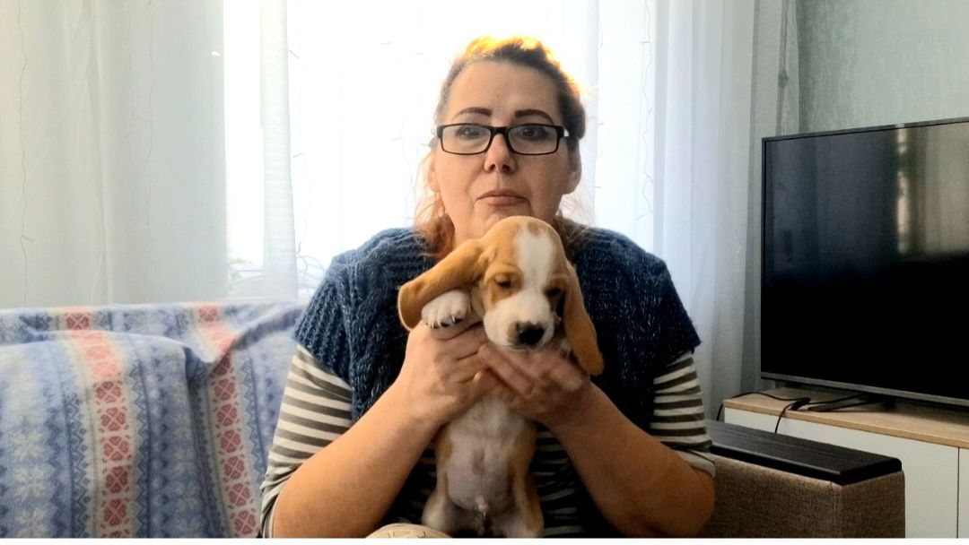 1052 Это не то что вы подумали.Всё бросили! Поехали. Жизнь в станице на юге. смотреть онлайн