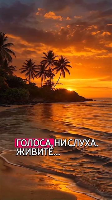 Встречайтерассветы….mp4