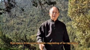 Боевой цигун 27. Упражнения для пальцев и запястий Ян Цзюньмин