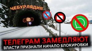 Telegram замедляют в России: кто голосовал «ЗА» и будет ли полная блокировка? И другие новости!