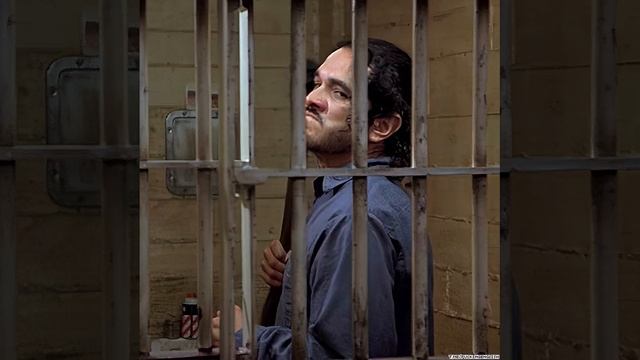 Голый пистолет 3