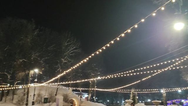 Прогулка в одиночестве по зимнему парку. Книжный магазин. Мои новые книги. смотреть онлайн