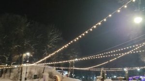 Прогулка в одиночестве по зимнему парку. Книжный магазин. Мои новые книги.