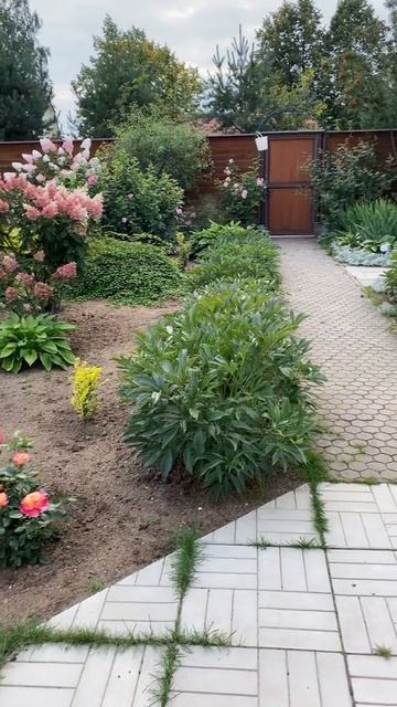 красивый дворик.mp4