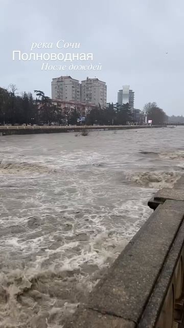 2026-02-06 смотреть онлайн