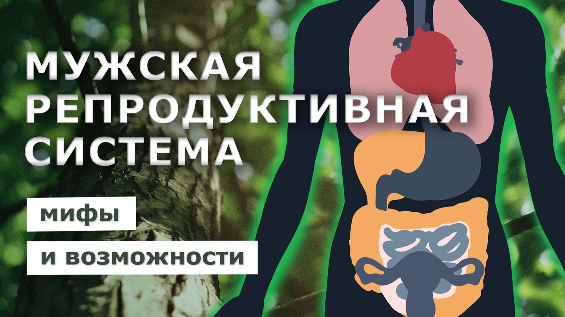МУЖСКОЕ РЕПРОДУКТИВНОЕ ЗДОРОВЬЕ. Мифы и возможности! смотреть онлайн
