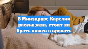 В Минздраве Карелии рассказали, стоит ли брать кошек в кровать