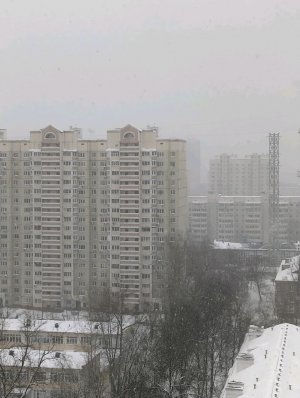 1 час в шалаше!