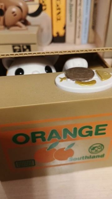 ЭТОТ КОТ УТАЩИЛ МОИ ДЕНЬГИ!!! ОН КОТ-КОЛЛЕКЦИОНЕР!!!